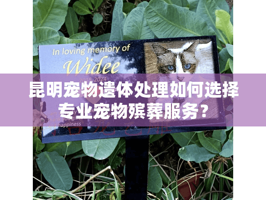 昆明宠物遗体处理如何选择专业宠物殡葬服务？