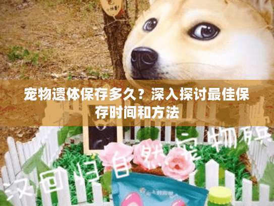 宠物遗体保存多久？深入探讨最佳保存时间和方法
