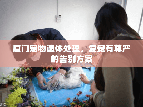 厦门宠物遗体处理，爱宠有尊严的告别方案