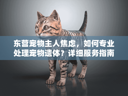 东营宠物主人焦虑，如何专业处理宠物遗体？详细服务指南