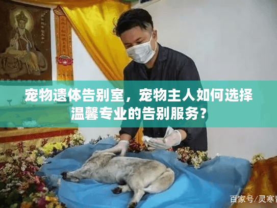 宠物遗体告别室，宠物主人如何选择温馨专业的告别服务？