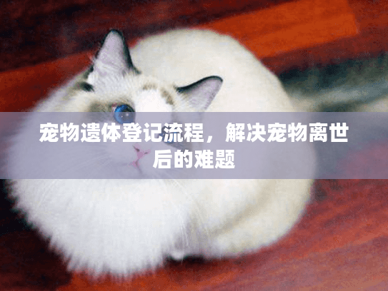 宠物遗体登记流程，解决宠物离世后的难题