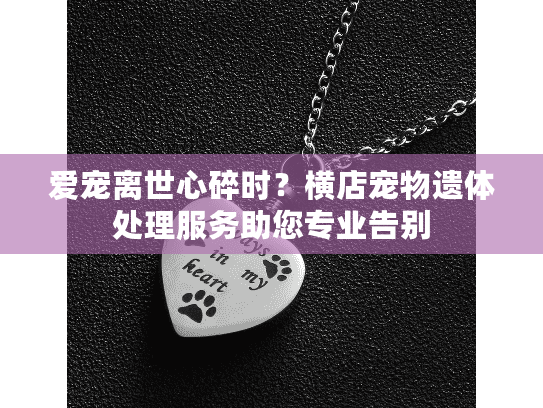 爱宠离世心碎时？横店宠物遗体处理服务助您专业告别