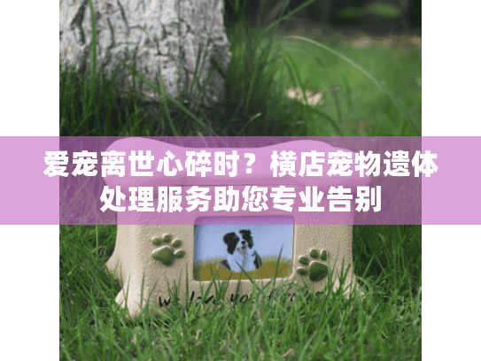 爱宠离世心碎时？横店宠物遗体处理服务助您专业告别