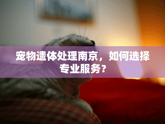 宠物遗体处理南京，如何选择专业服务？