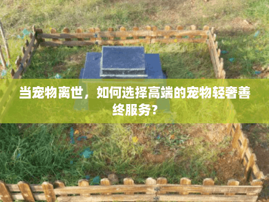 当宠物离世，如何选择高端的宠物轻奢善终服务？