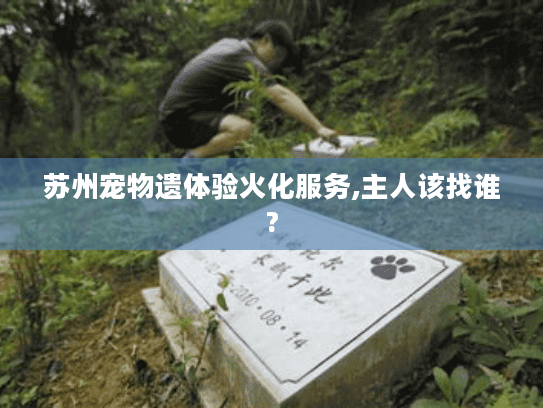 苏州宠物遗体验火化服务,主人该找谁?