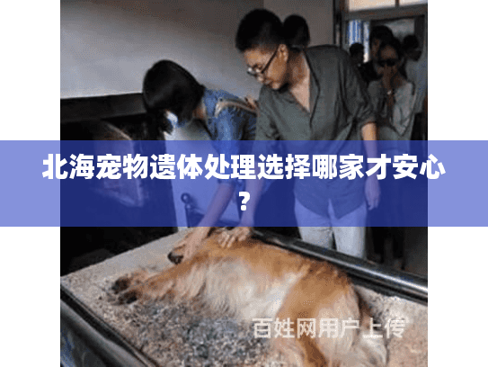 北海宠物遗体处理选择哪家才安心?