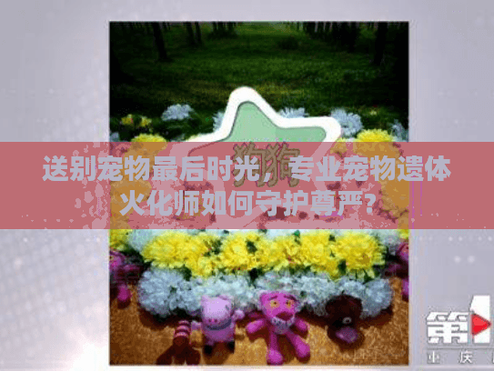送别宠物最后时光，专业宠物遗体火化师如何守护尊严?