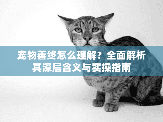 宠物善终怎么理解？全面解析其深层含义与实操指南