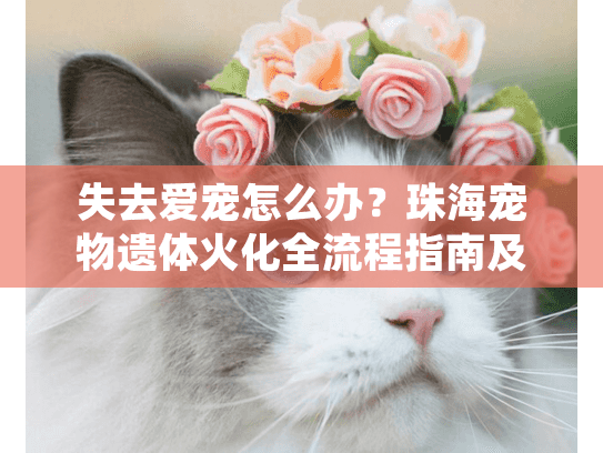 失去爱宠怎么办？珠海宠物遗体火化全流程指南及机构选择攻略