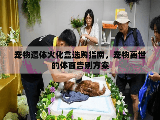 宠物遗体火化盒选购指南，宠物离世的体面告别方案