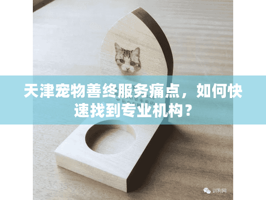 天津宠物善终服务痛点,如何快速找到专业机构?