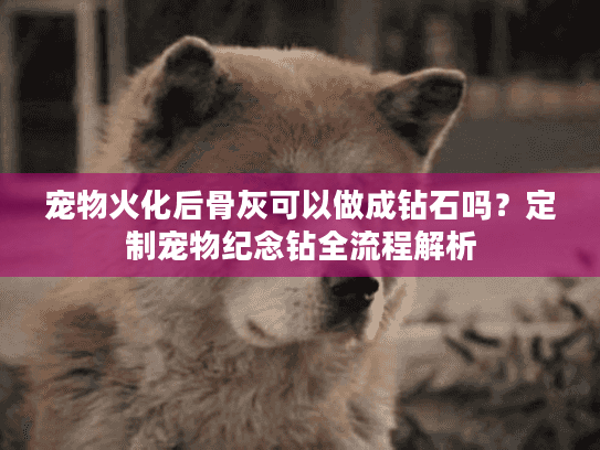 宠物火化后骨灰可以做成钻石吗？定制宠物纪念钻全流程解析