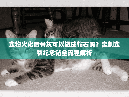 宠物火化后骨灰可以做成钻石吗？定制宠物纪念钻全流程解析