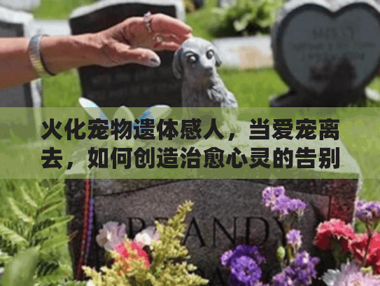 火化宠物遗体感人，当爱宠离去，如何创造治愈心灵的告别时刻？