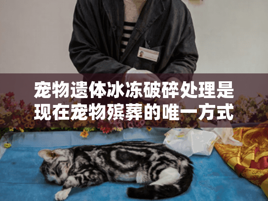 宠物遗体冰冻破碎处理是现在宠物殡葬的唯一方式吗?