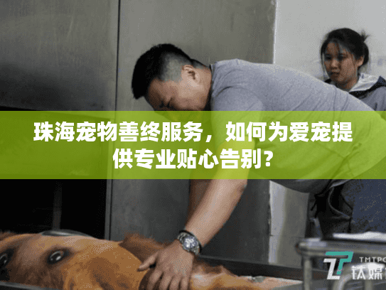 珠海宠物善终服务，如何为爱宠提供专业贴心告别？