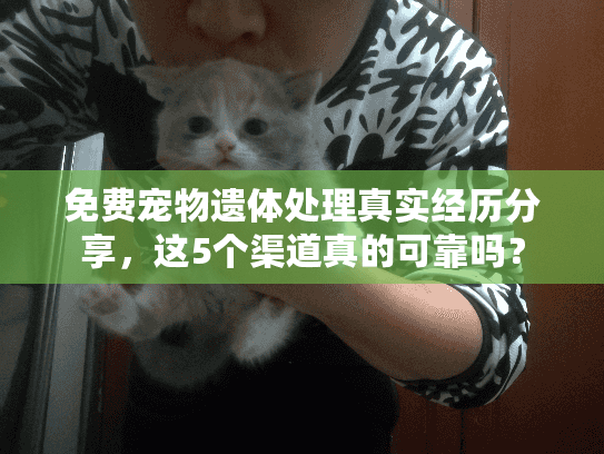 免费宠物遗体处理真实经历分享，这5个渠道真的可靠吗？
