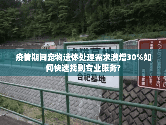 疫情期间宠物遗体处理需求激增30%如何快速找到专业服务?
