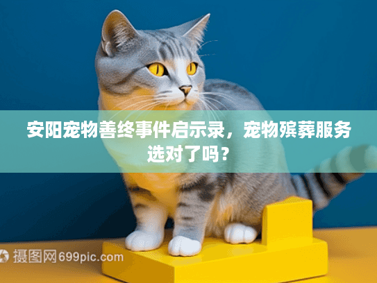 安阳宠物善终事件启示录，宠物殡葬服务选对了吗？