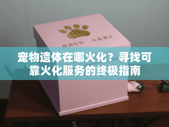 宠物遗体在哪火化？寻找可靠火化服务的终极指南