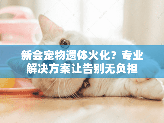 新会宠物遗体火化？专业解决方案让告别无负担