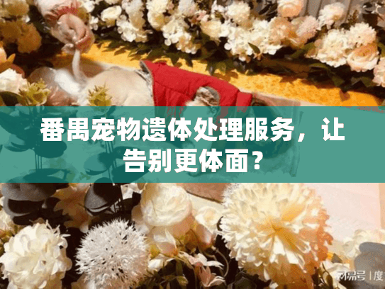 番禺宠物遗体处理服务，让告别更体面？