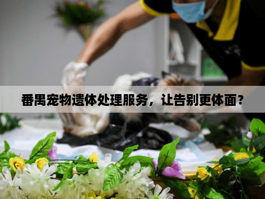 番禺宠物遗体处理服务，让告别更体面？