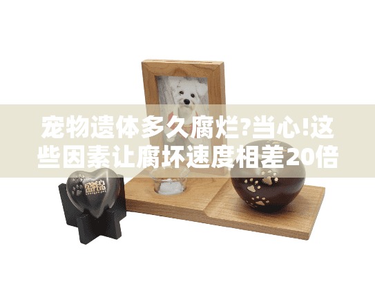 宠物遗体多久腐烂?当心!这些因素让腐坏速度相差20倍!