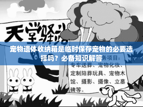 宠物遗体收纳箱是临时保存宠物的必要选择吗？必备知识解答