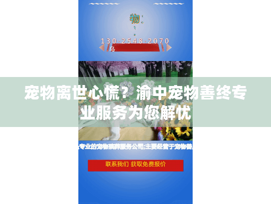 宠物离世心慌？渝中宠物善终专业服务为您解忧