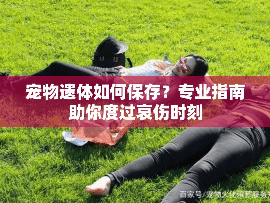 宠物遗体如何保存？专业指南助你度过哀伤时刻