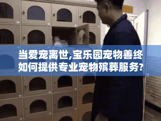 当爱宠离世,宝乐园宠物善终如何提供专业宠物殡葬服务?