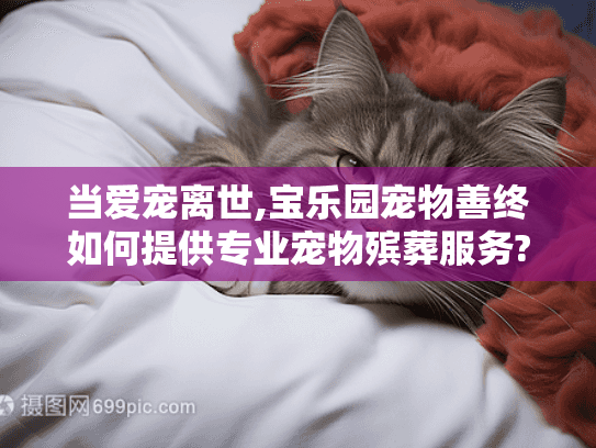 当爱宠离世,宝乐园宠物善终如何提供专业宠物殡葬服务?