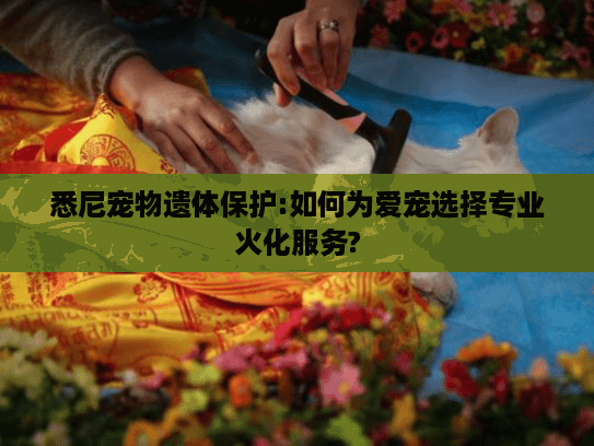 悉尼宠物遗体保护:如何为爱宠选择专业火化服务?