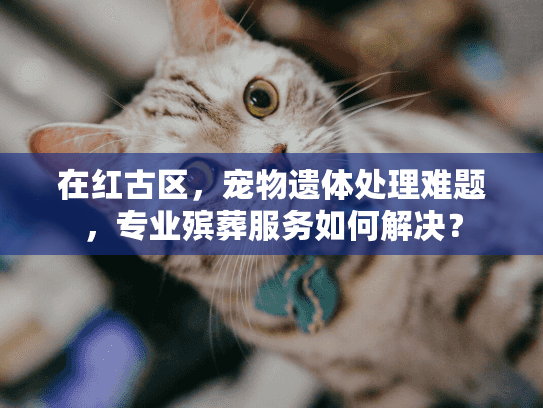 在红古区，宠物遗体处理难题，专业殡葬服务如何解决？