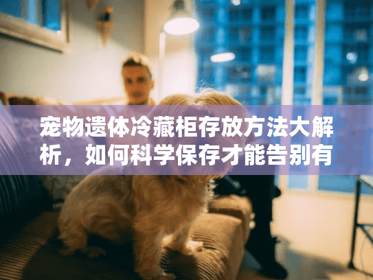 宠物遗体冷藏柜存放方法大解析，如何科学保存才能告别有温度？