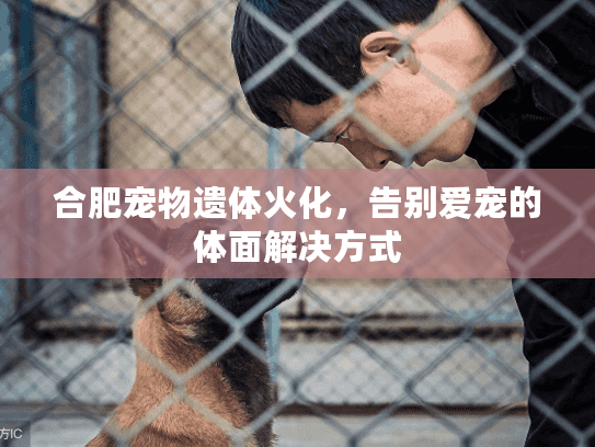 合肥宠物遗体火化，告别爱宠的体面解决方式