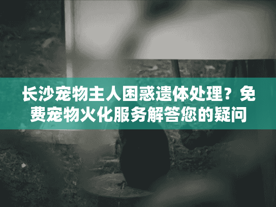 长沙宠物主人困惑遗体处理？免费宠物火化服务解答您的疑问