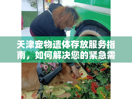 天津宠物遗体存放服务指南，如何解决您的紧急需求？