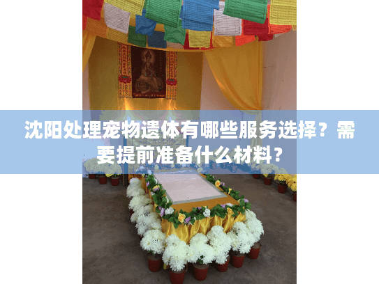 沈阳处理宠物遗体有哪些服务选择？需要提前准备什么材料？