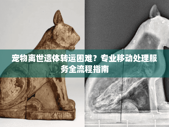 宠物离世遗体转运困难？专业移动处理服务全流程指南