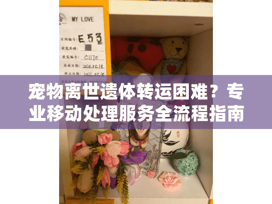 宠物离世遗体转运困难？专业移动处理服务全流程指南