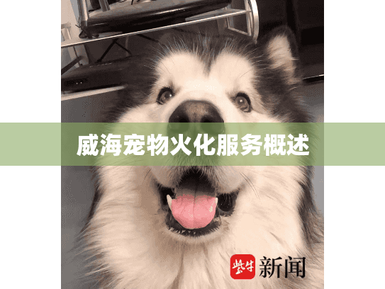 威海宠物火化服务概述