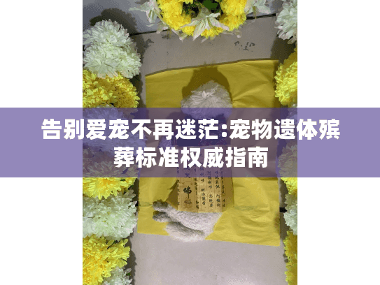告别爱宠不再迷茫:宠物遗体殡葬标准权威指南