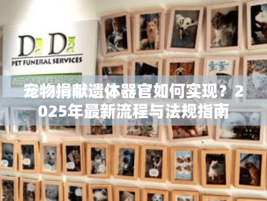 宠物捐献遗体器官如何实现？2025年最新流程与法规指南