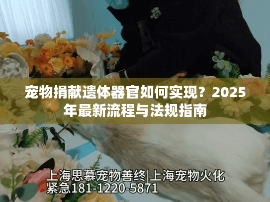 宠物捐献遗体器官如何实现？2025年最新流程与法规指南