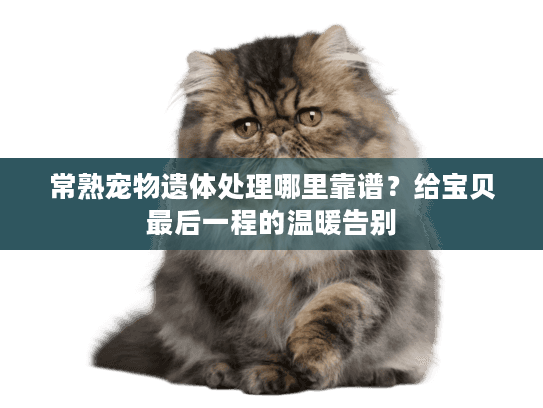 常熟宠物遗体处理哪里靠谱？给宝贝最后一程的温暖告别