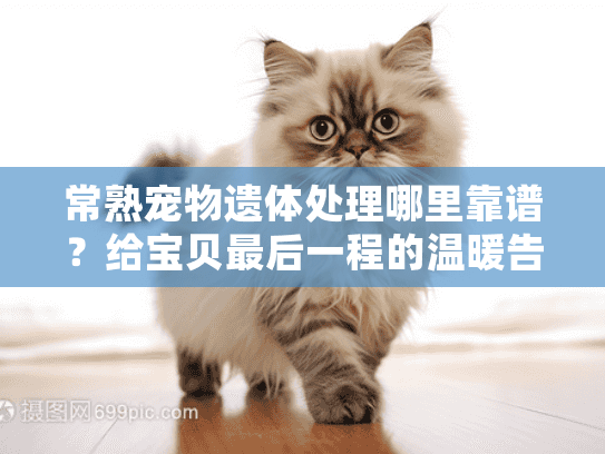 常熟宠物遗体处理哪里靠谱？给宝贝最后一程的温暖告别